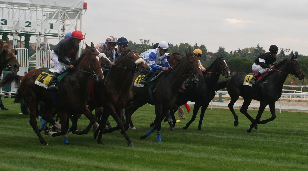 Carreras de caballos en el Hipódromo de la Zarzuela