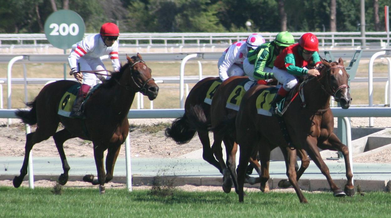 Carreras de caballos en el Hipódromo de la Zarzuela