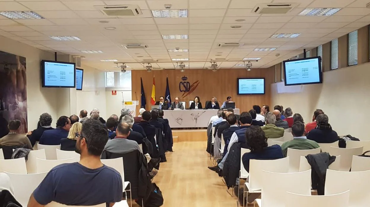 La Real Federación Española de Vela aprueba un presupuesto de 4,3 millones para 2019