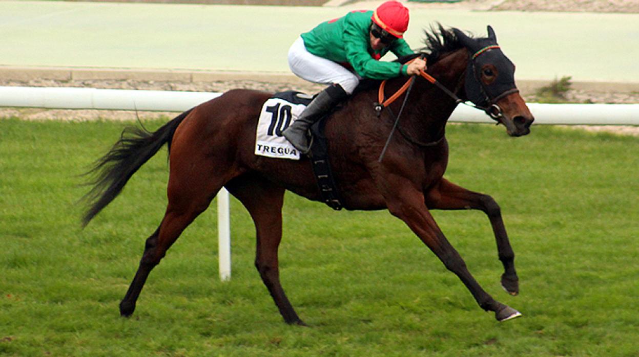 Tregua, este domingo en el Hipódromo de la Zarzuela