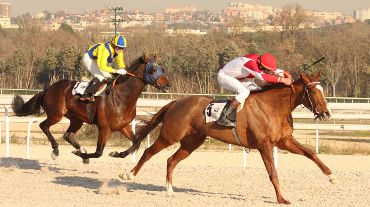 Lurayan, durante el Premio Luis Urbano