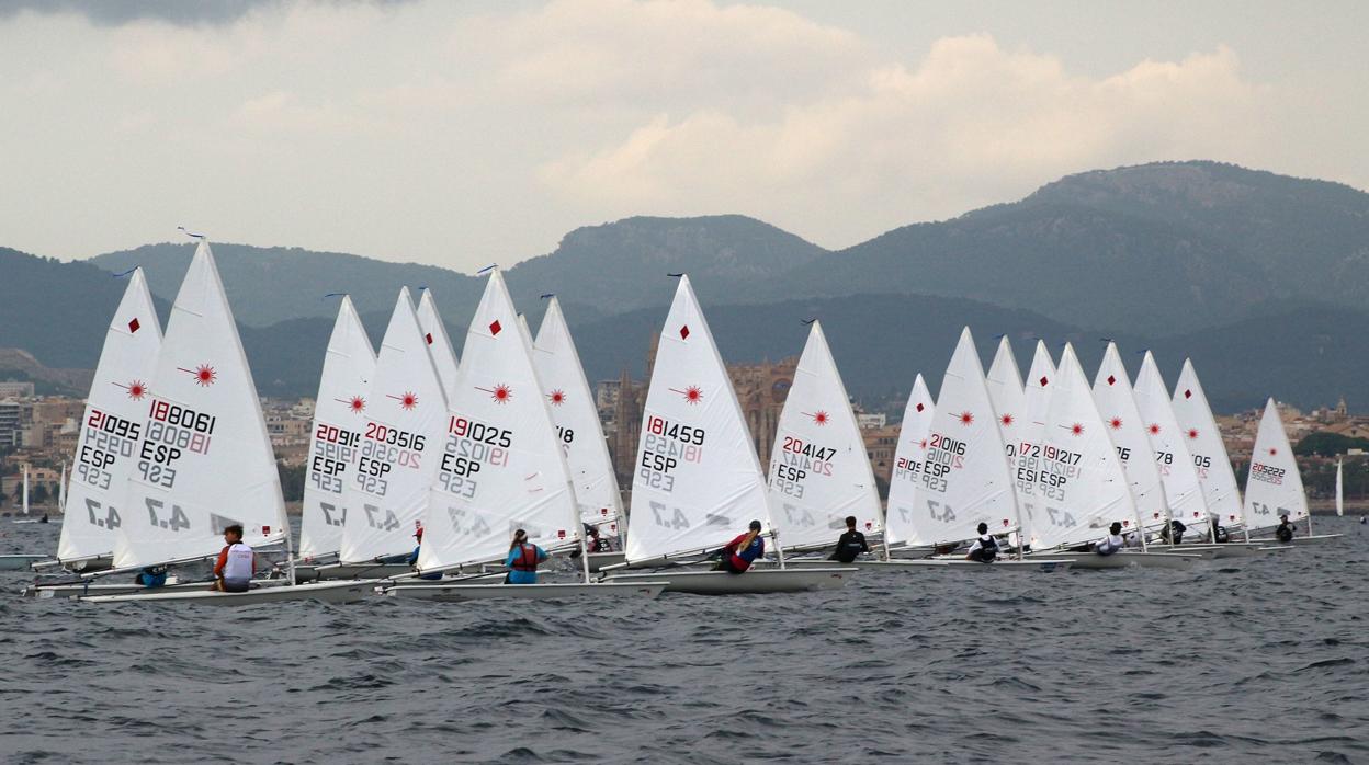 Participación récord en el campeonato balear de Laser 4.7 y Standard del CMSAP