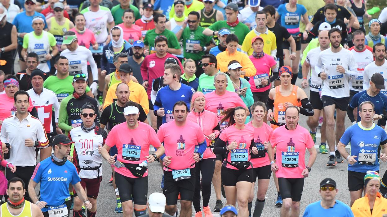 Corredores de la Zurich Maratón de Sevilla