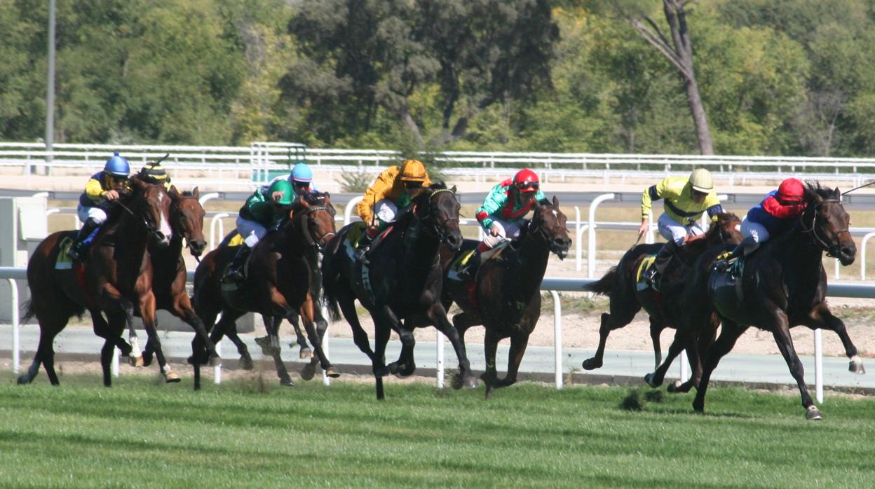 Carreras de caballos en el Hipódromo de la Zarzuela