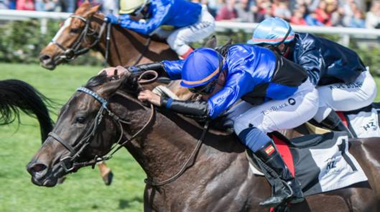 Carreras de caballos en el Hipódromo de la Zarzuela