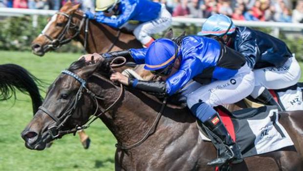 Día de grandes campeones en el Hipódromo de la Zarzuela