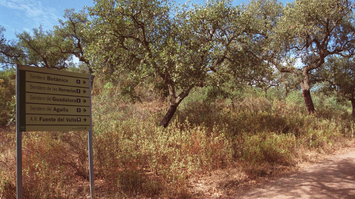 Sierra de Hornachuelos, en la provincia de Córdoba