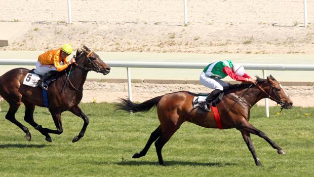 El campeón Noray, brilla en el premio Asociación de hipódromos de España