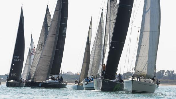 «Brujo», «Genio 4», «Tikismikis», «Aquax» y «Reti» ganadores del Trofeo Valenciavela