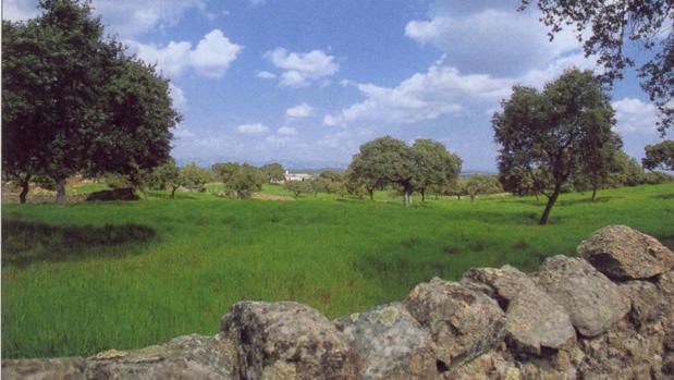 Sierra de Cardeña y Montoro, tradición montera