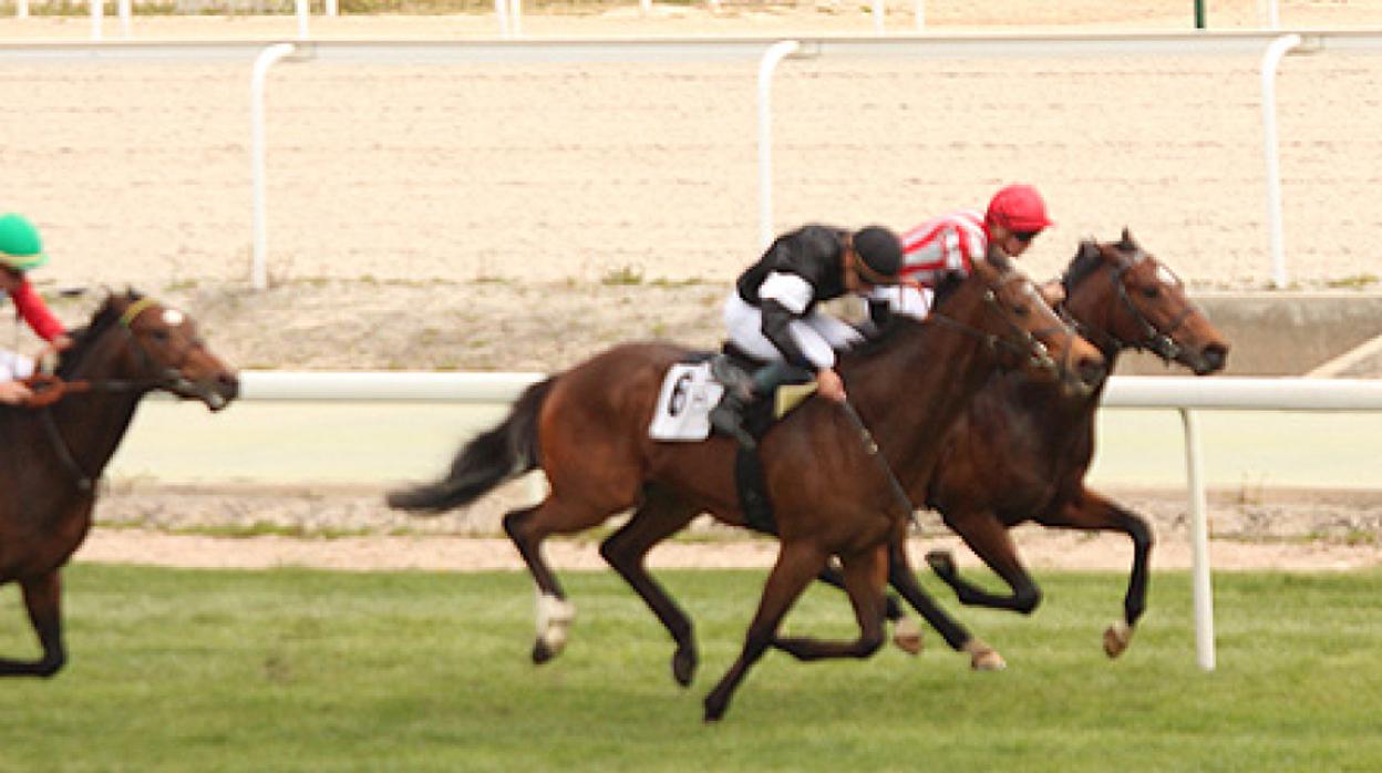 Resacón fue el ganador del Premio Torre Arias