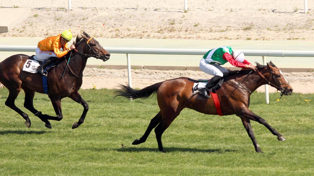 Noray, máximo favorito en el Premio Duque de Alburquerque