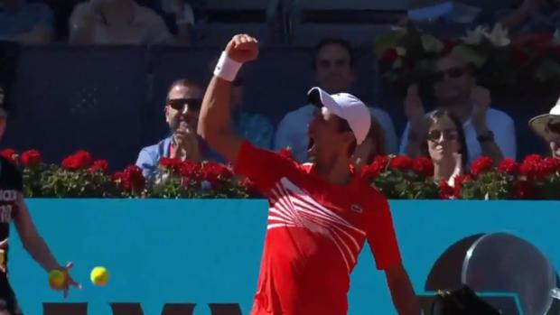 Así levantó Djokovic a la grada