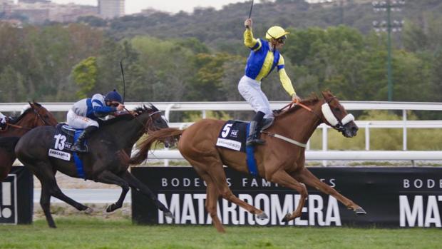 Preciosa revancha de Hipodamo de Mileto en el centenario del Gran Premio de Madrid