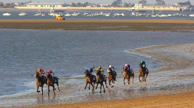 Más de 80 caballos acudirán a Sanlúcar de Barrameda esta temporada