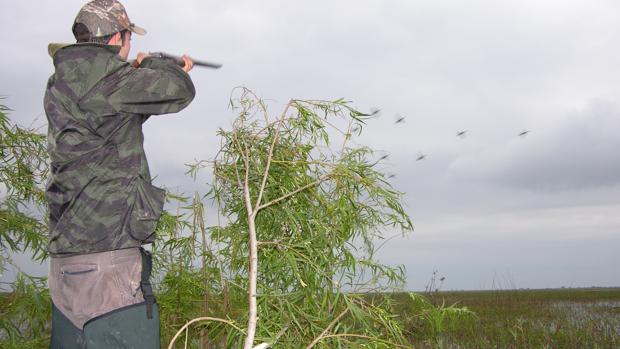 El crepúsculo de la caza de aves acuáticas