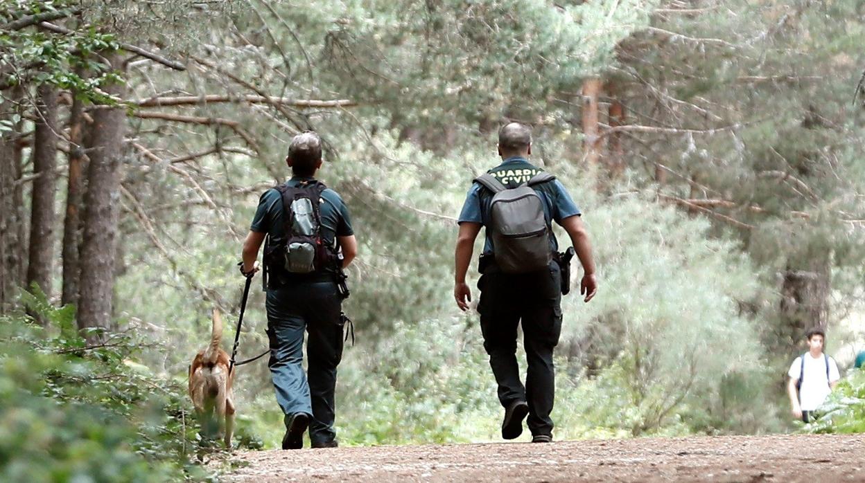 Personal de la Guardia Civil, en la búsqueda