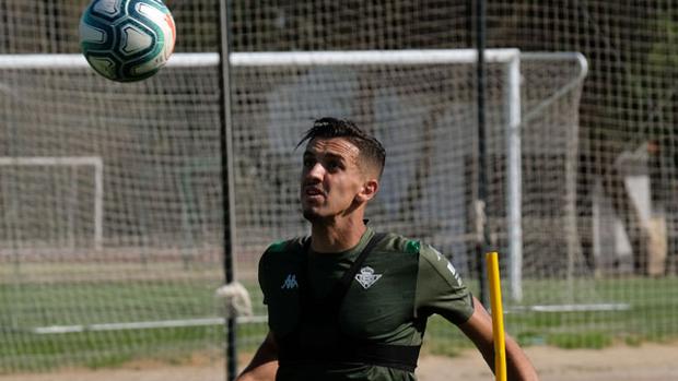 La selección, opción para Feddal