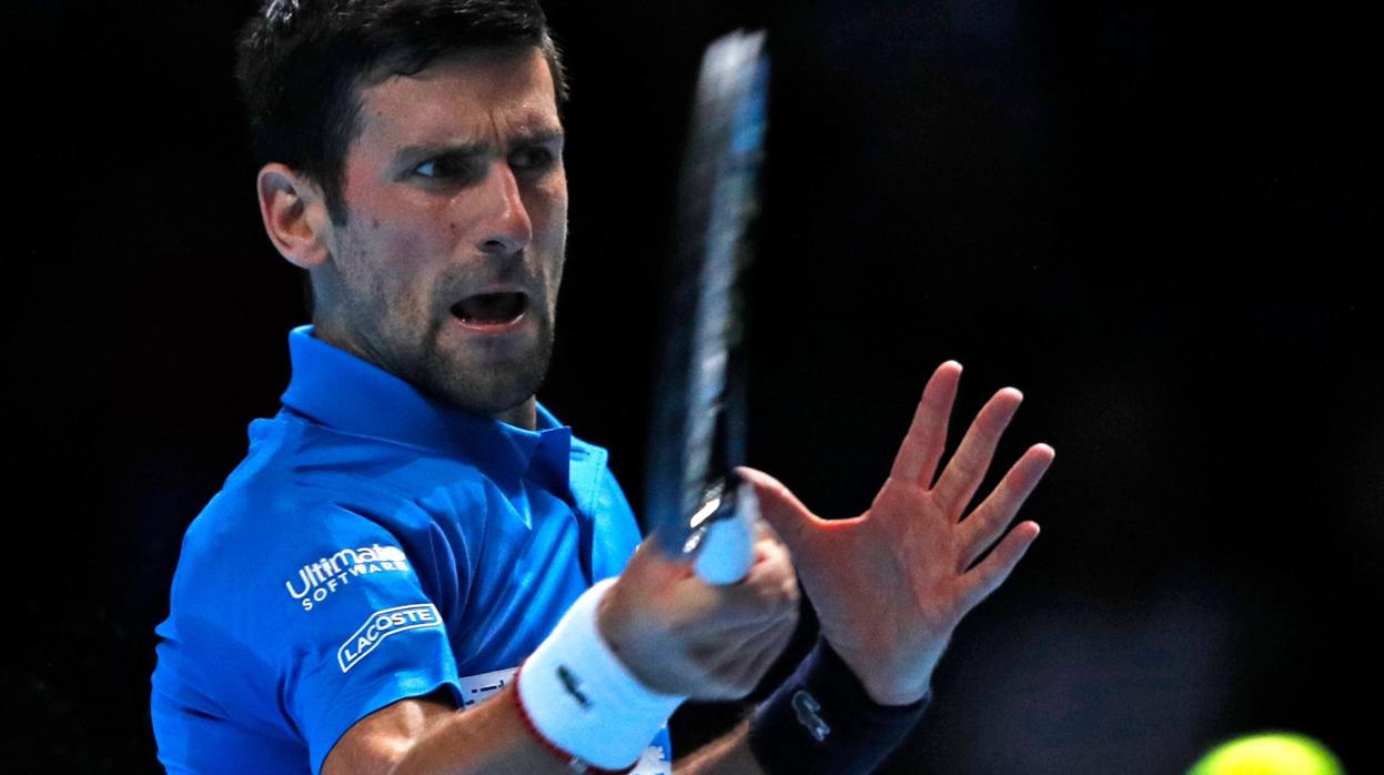 Djokovic, durante el partido