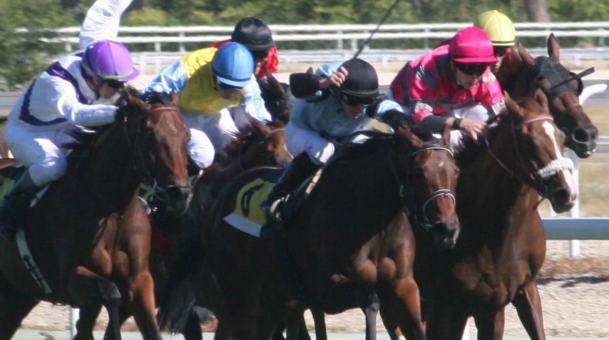 Carreras de caballos en el Hipódromo de la Zarzuela