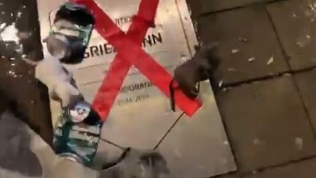 Basura y ratas de peluche sobre la placa de Griezmann en el Metropolitano