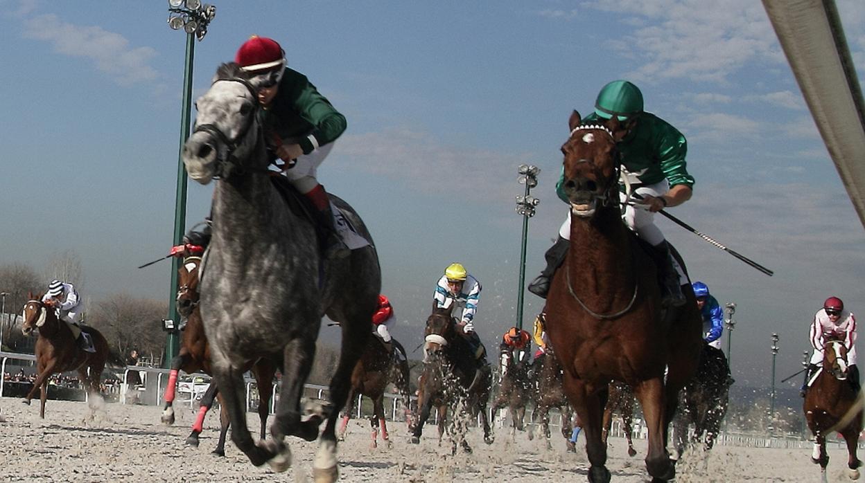 Planazo en el Hipódromo de La Zarzuela, con el «Family Day Navidad»