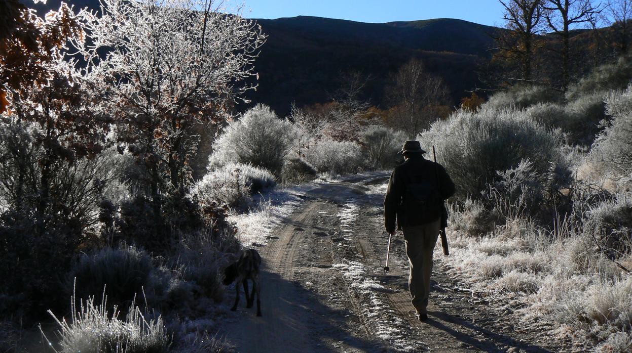 Las primeras luces del día iluminan la helada mañana de invierno de un monte gallego