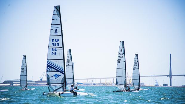 Puerto Sherry será sede en junio del Europeo de catamarán Clase A