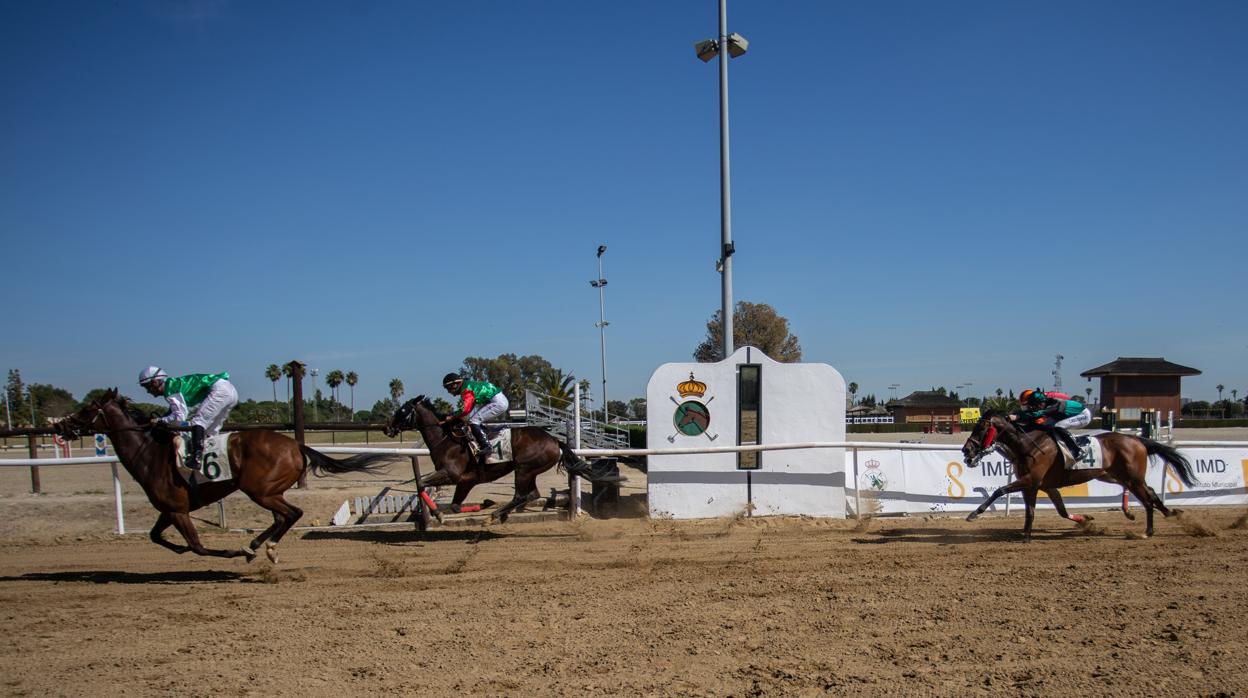 Carrerasde Caballos de Pineda 2019