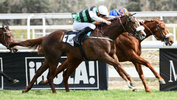 «Royal Dancer» se lleva el Opcional por distanciamiento de «Marrero»