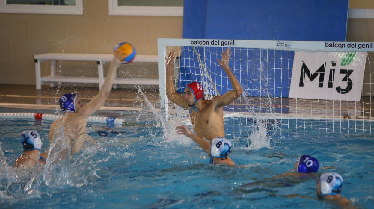 La Federación de Natación resuelve las ligas de waterpolo con campeones y ascensos