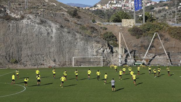 El CSD frena a Las Palmas: no habrá público esta temporada