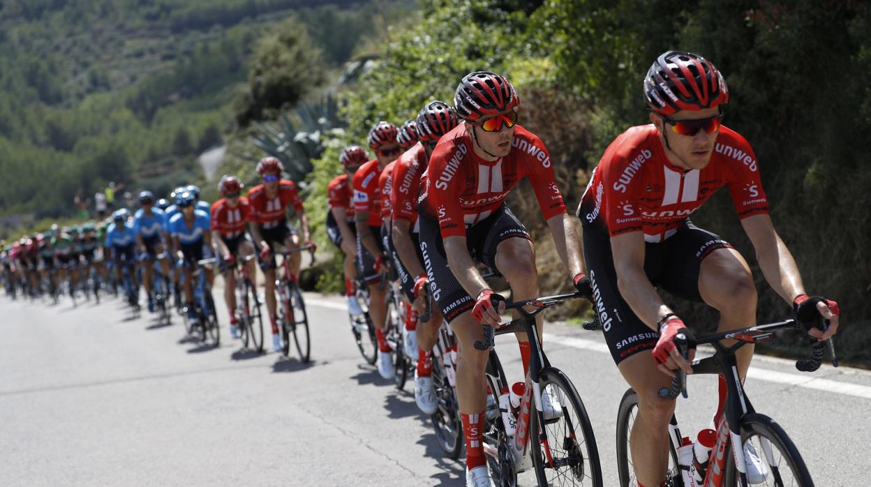 El pelotón, durante la Vuelta de 2019