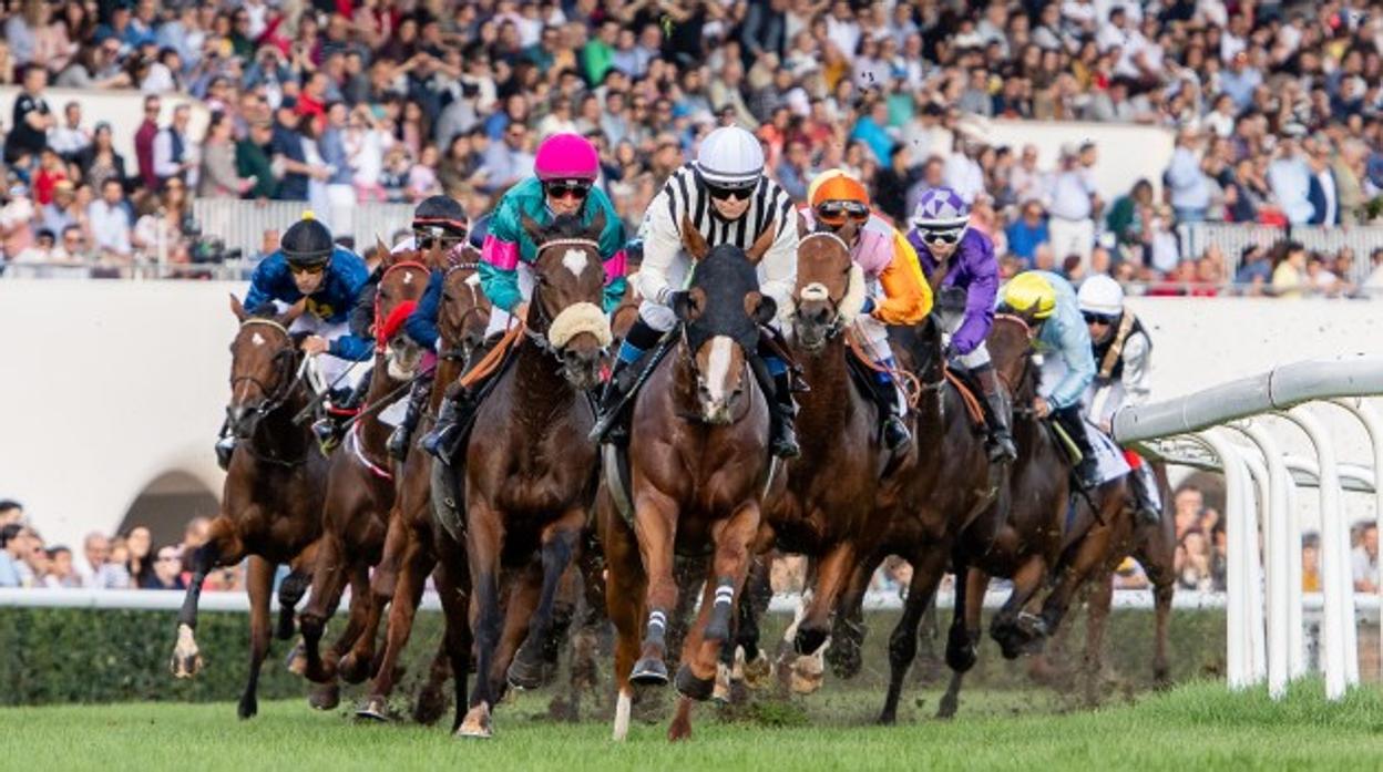 El Hipódromo de Madrid abre sus puertas al público