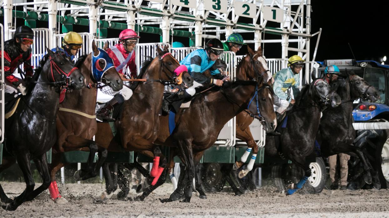 Un verano más, vuelven «Las noches del Hipódromo»