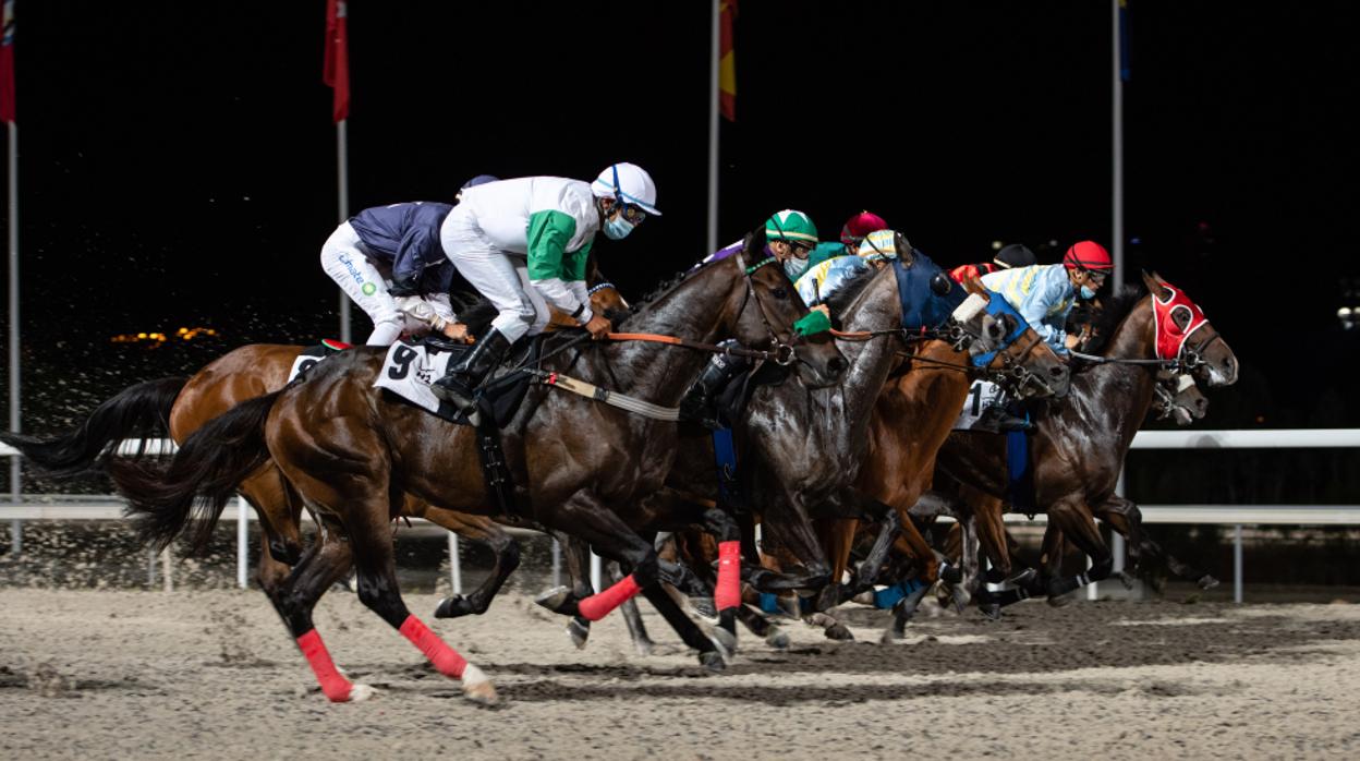 Carrera nocturna en el Hipódromo de la Zarzuela