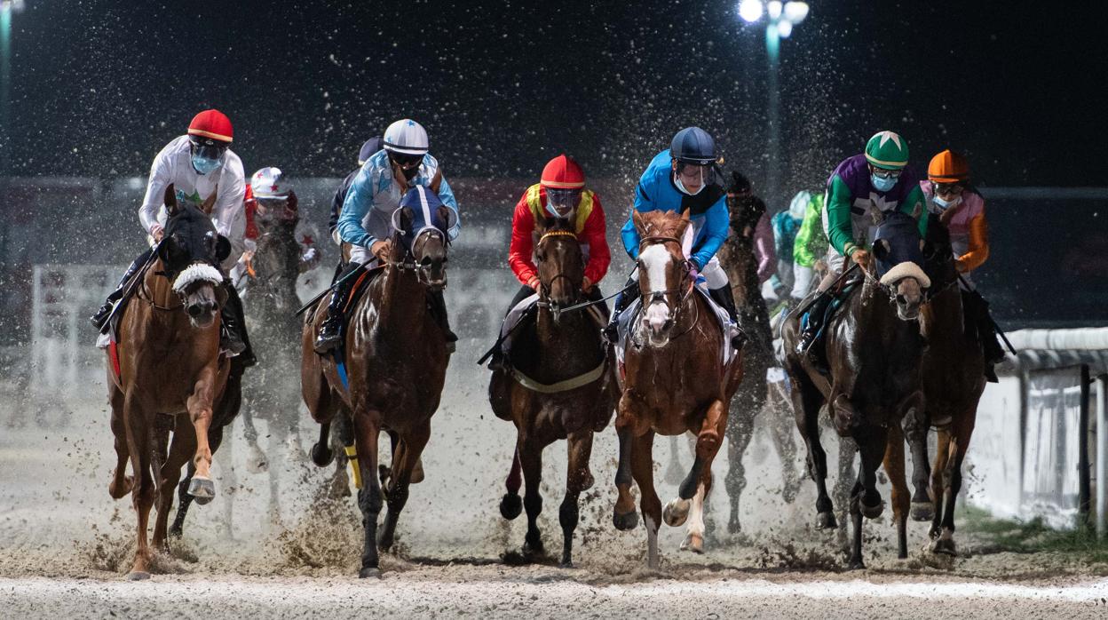 Continúan las noches del Hipódromo, «El planazo del verano»