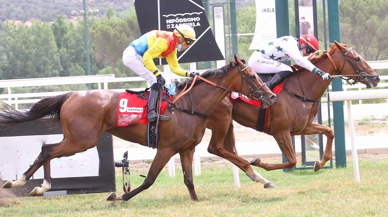 "NAVIA" VENCIENDO EN EL GRAN PREMIO BEAMONTE - OAKS ESPAÑOL, SIENDO SEGUNDA "TARANTELA"