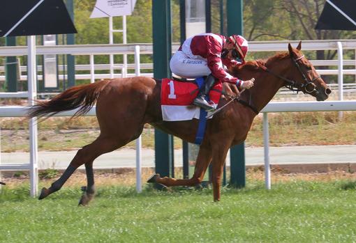 Hold on Know se impuso en el Premio Roberto Cocheteux