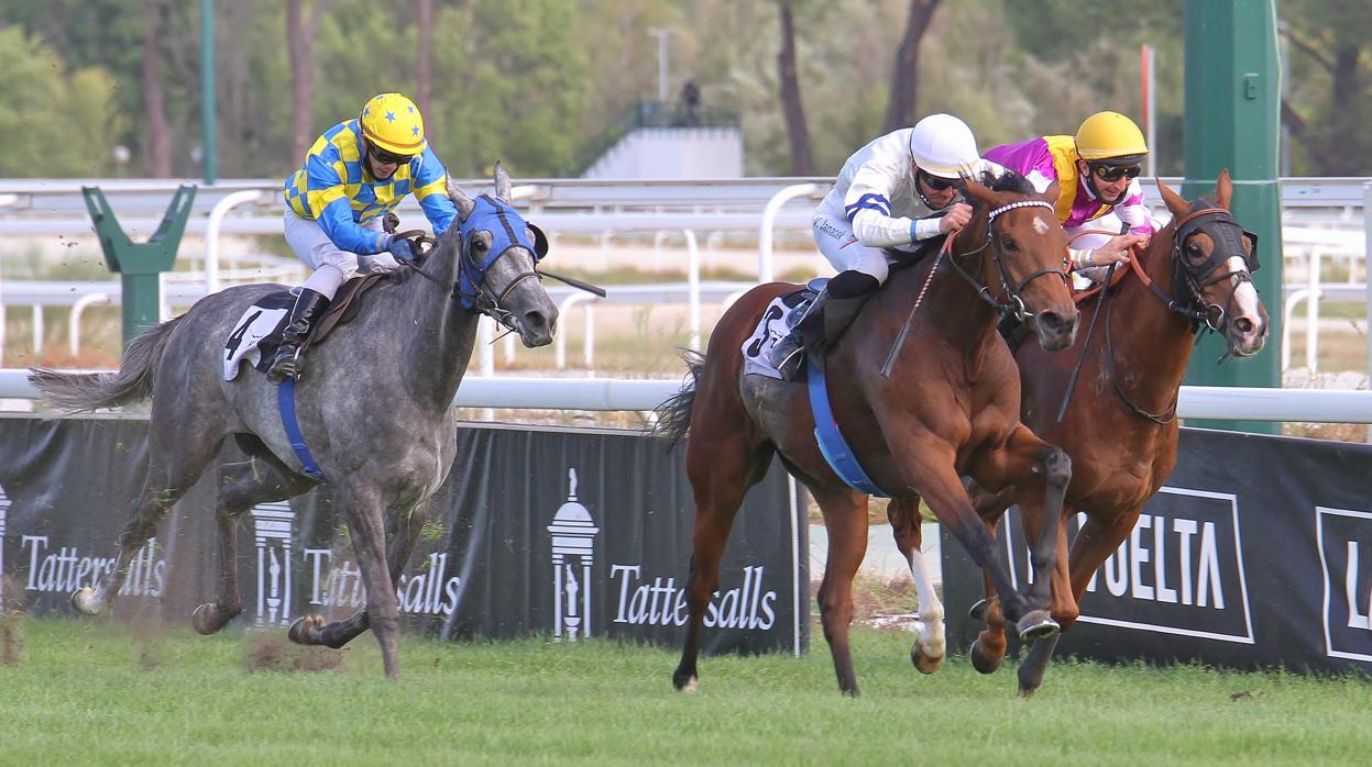 Carerras de caballos en el Hipódromo de la Zarzuela