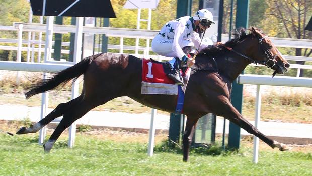 Espectacular victoria de 'Amedeo Modigliani' en el Gran Premio de la Hispanidad