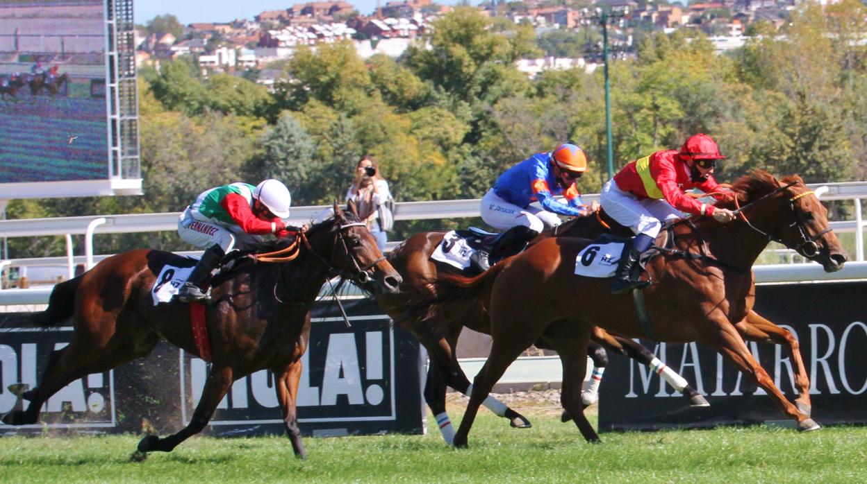 Una imagen de las carreras de caballos del Hipódromo