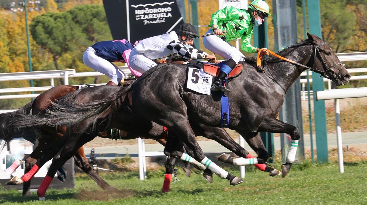 "City Master", ganador de las segunda carrera, el "Premio AEGRI"