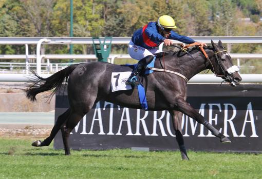 Madidina ganó en la primera carrera de la jornada