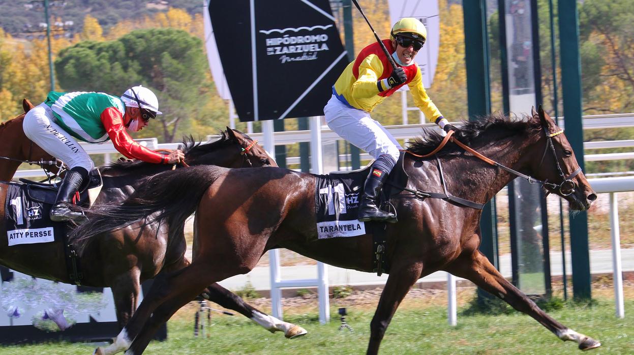 Tarantela, ganadora del Gran Premio Memorial Duque de Toledo