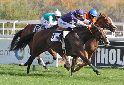 El Premio Roque Nublo fue ganado por Havana Magic