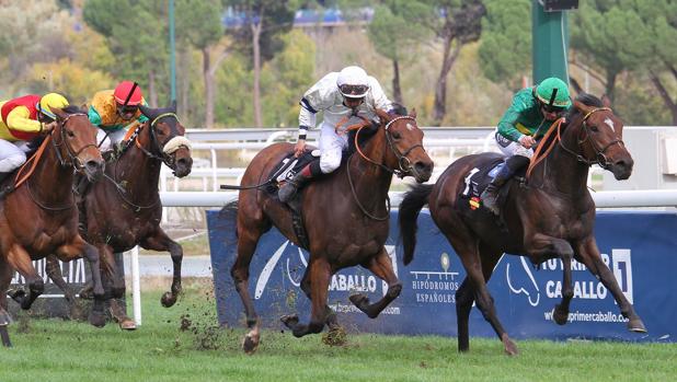 «Tronío», brillante ganador del Gran Premio Nacional, en la fiesta de la cría española
