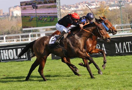 Medicean Blue venció en la cuarta carrera, el Premio Nemesio Fernández-Cuesta