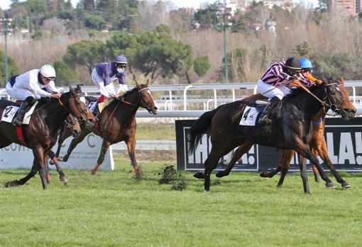 Leitza ganó la tercera carrera de la jornada, el Premio Maspalomas