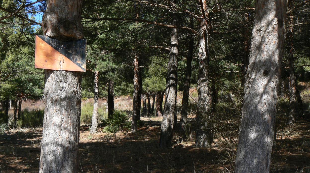 Solo la Sierra de Guadarrama, hasta 2023, se libra de esta prohibición